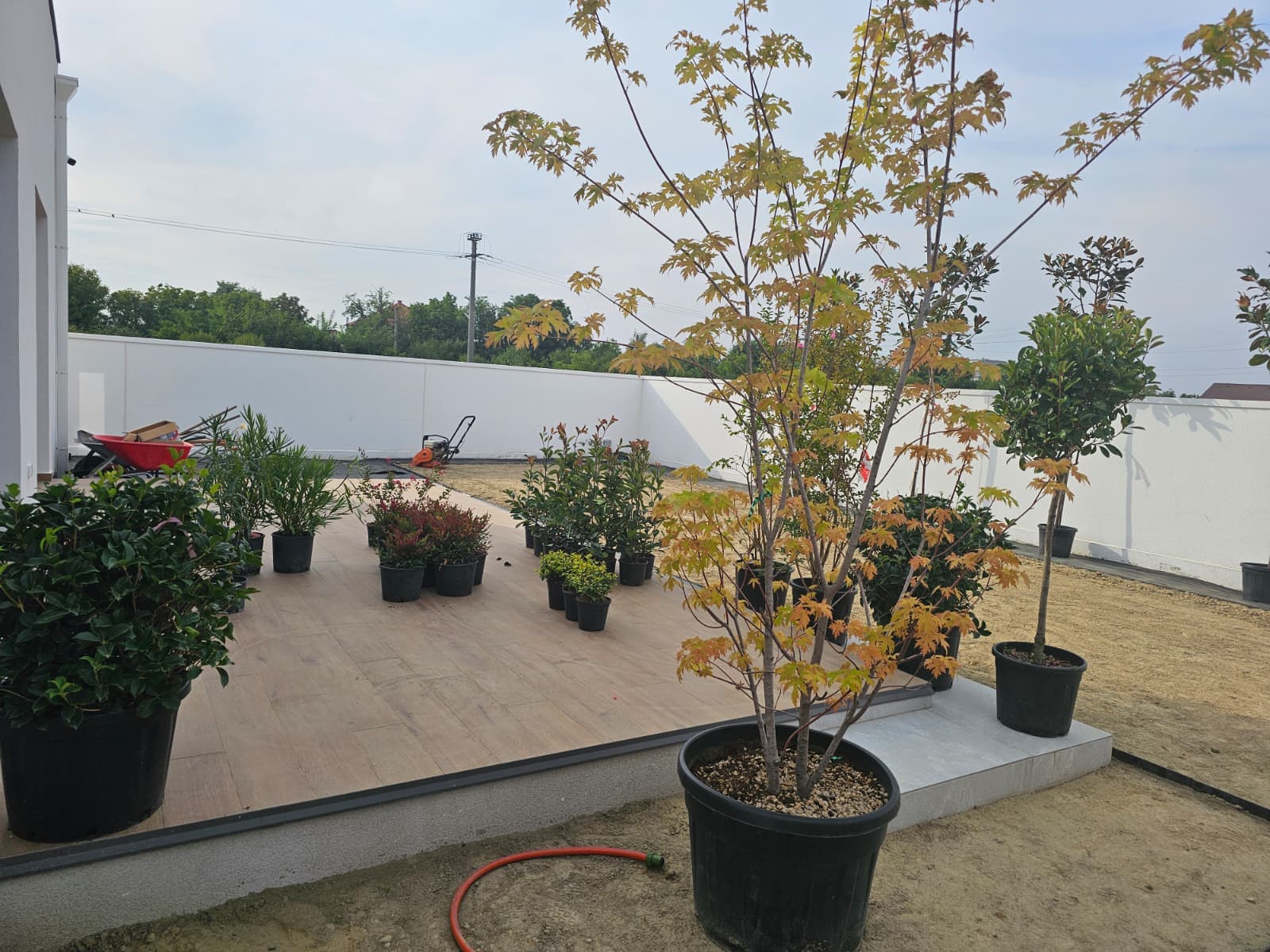 Maximilian Fremaut Peisagistică - 6 