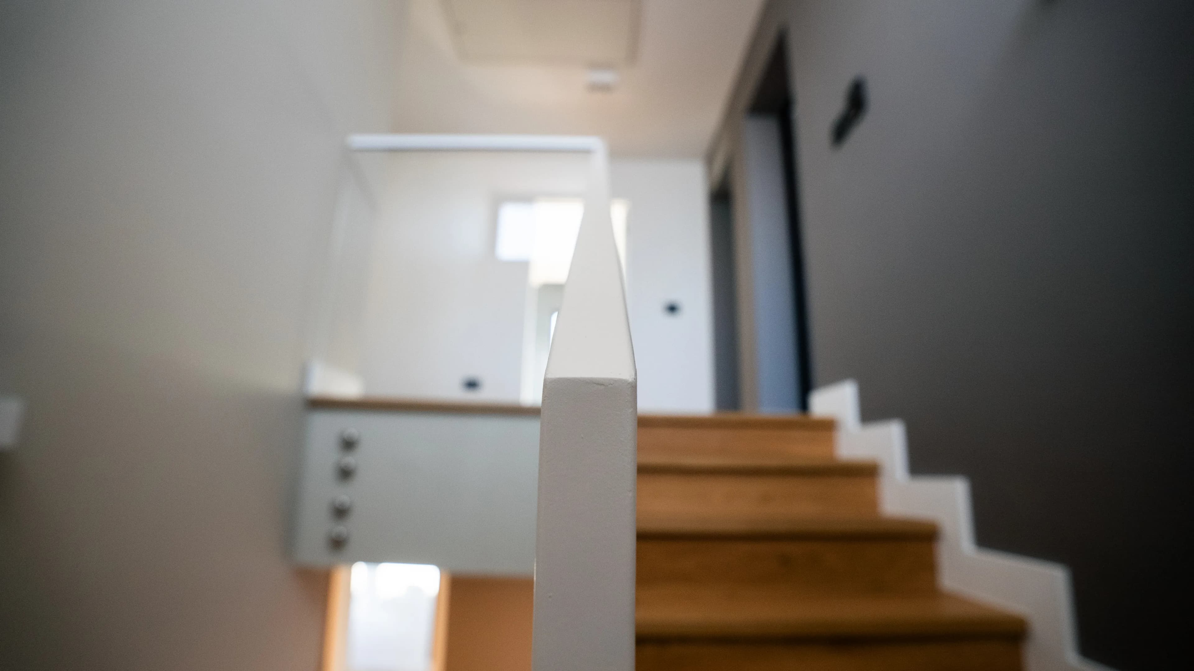 Servicii ROHO Construct - Proiect 8